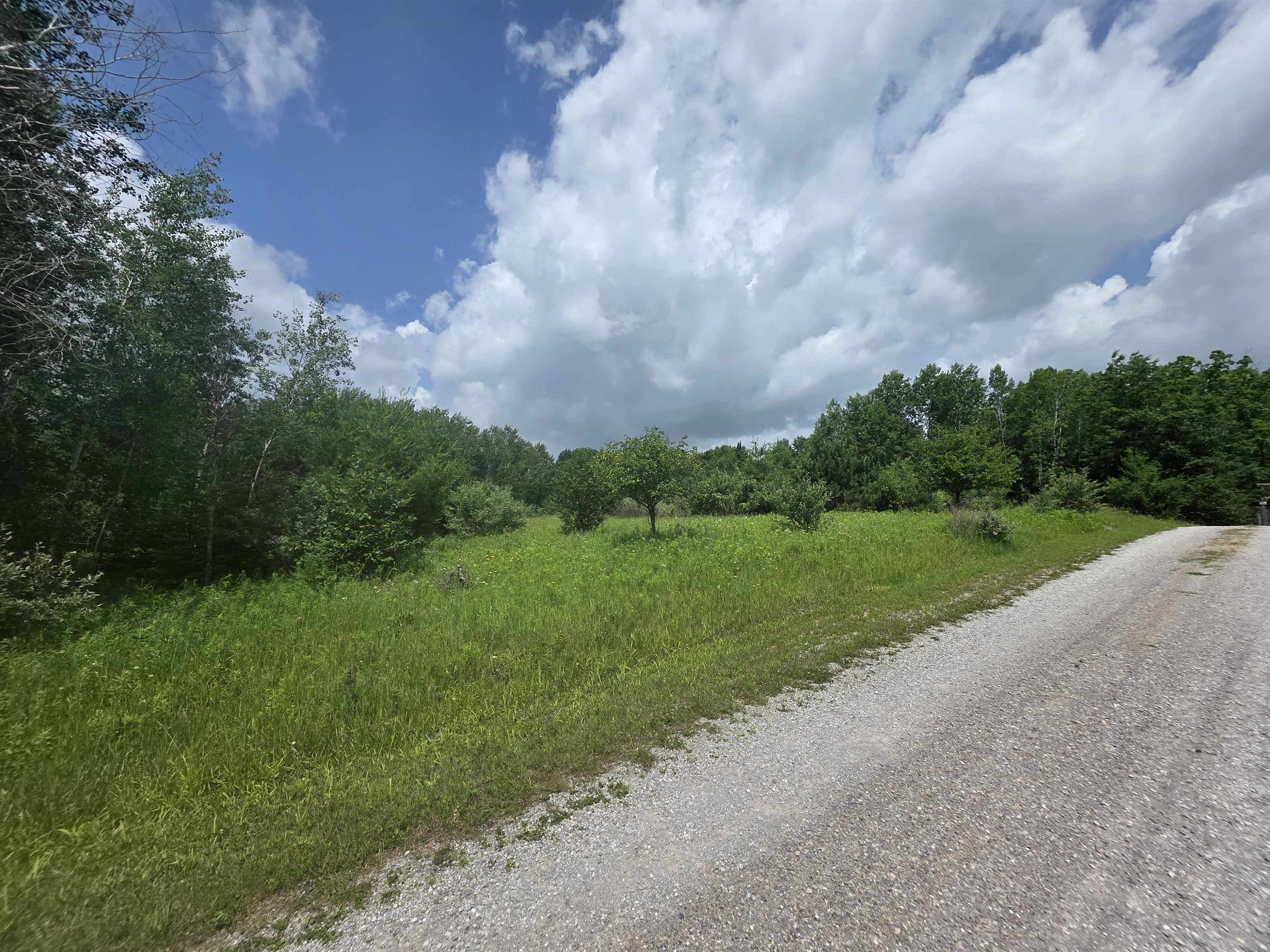0 Sage Lake Road Lupton, MI 48635 - Photo 6 of 6 1947449-eacb406a-d96a-4a11-baa5-b7cff0a55d77.JPG