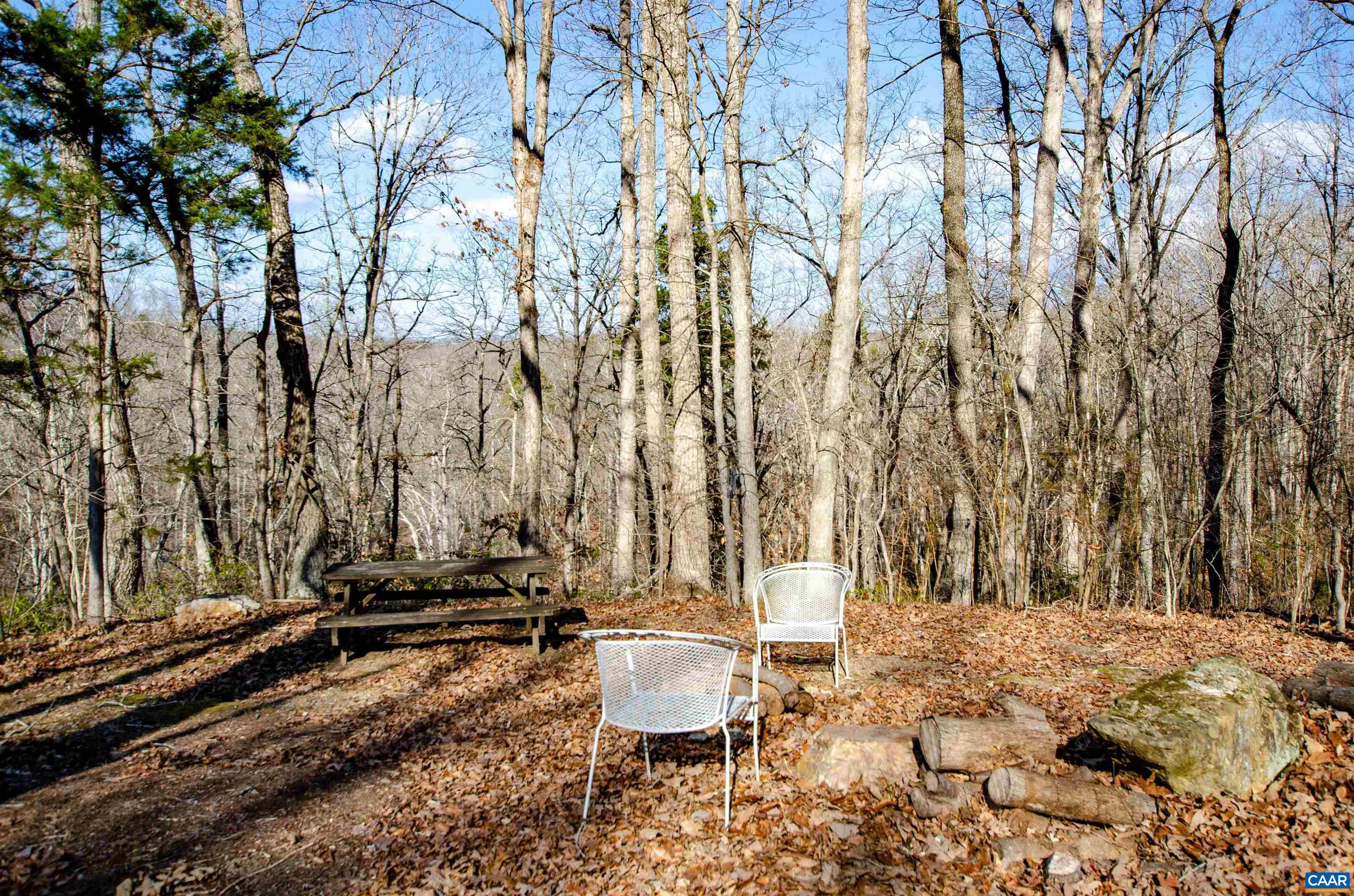 1709 Courthouse Road Palmyra, VA 22963 - Photo 51 of 59 a view of a backyard with chairs and a large tree