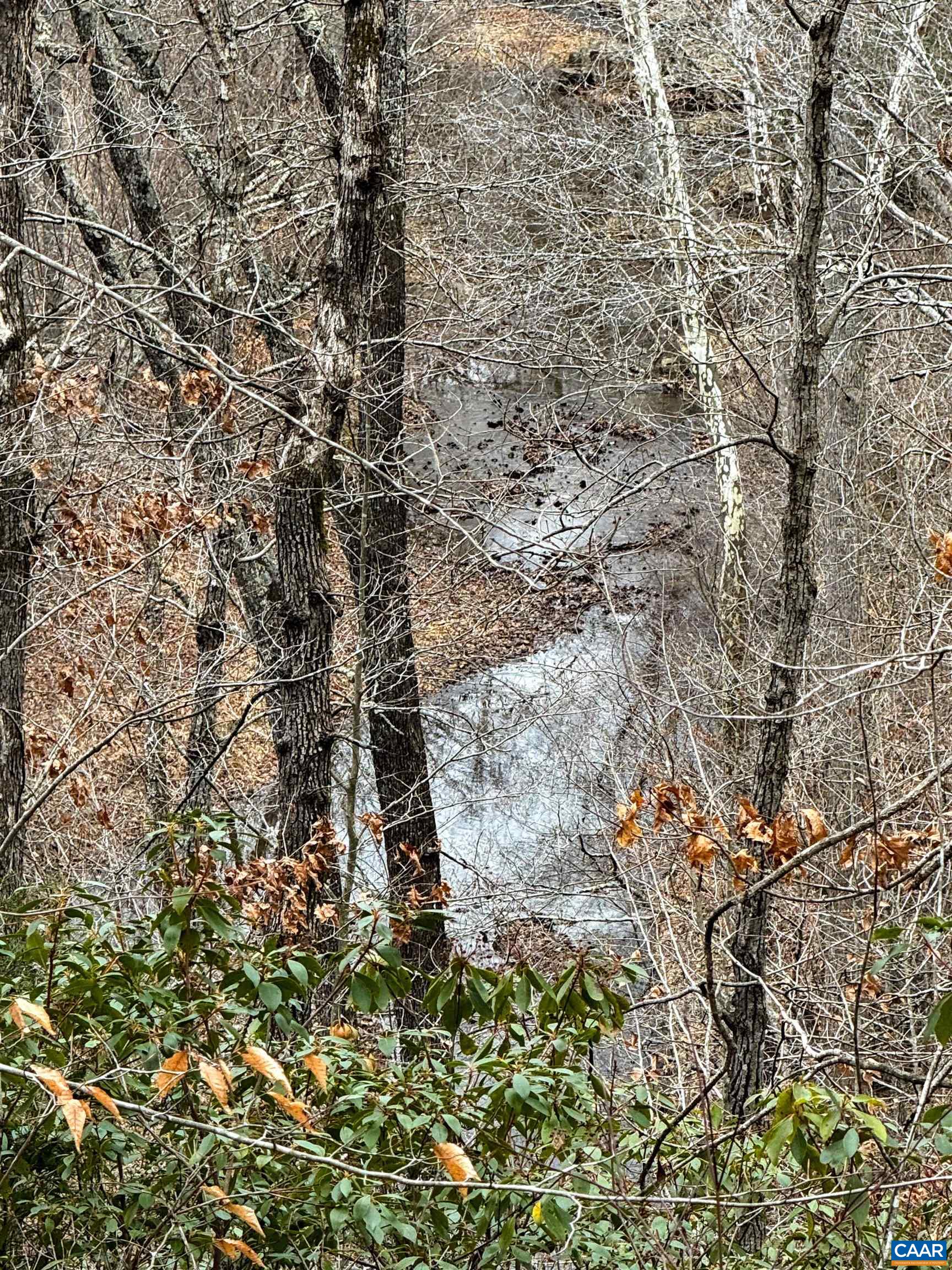 1709 Courthouse Road Palmyra, VA 22963 - Photo 52 of 59