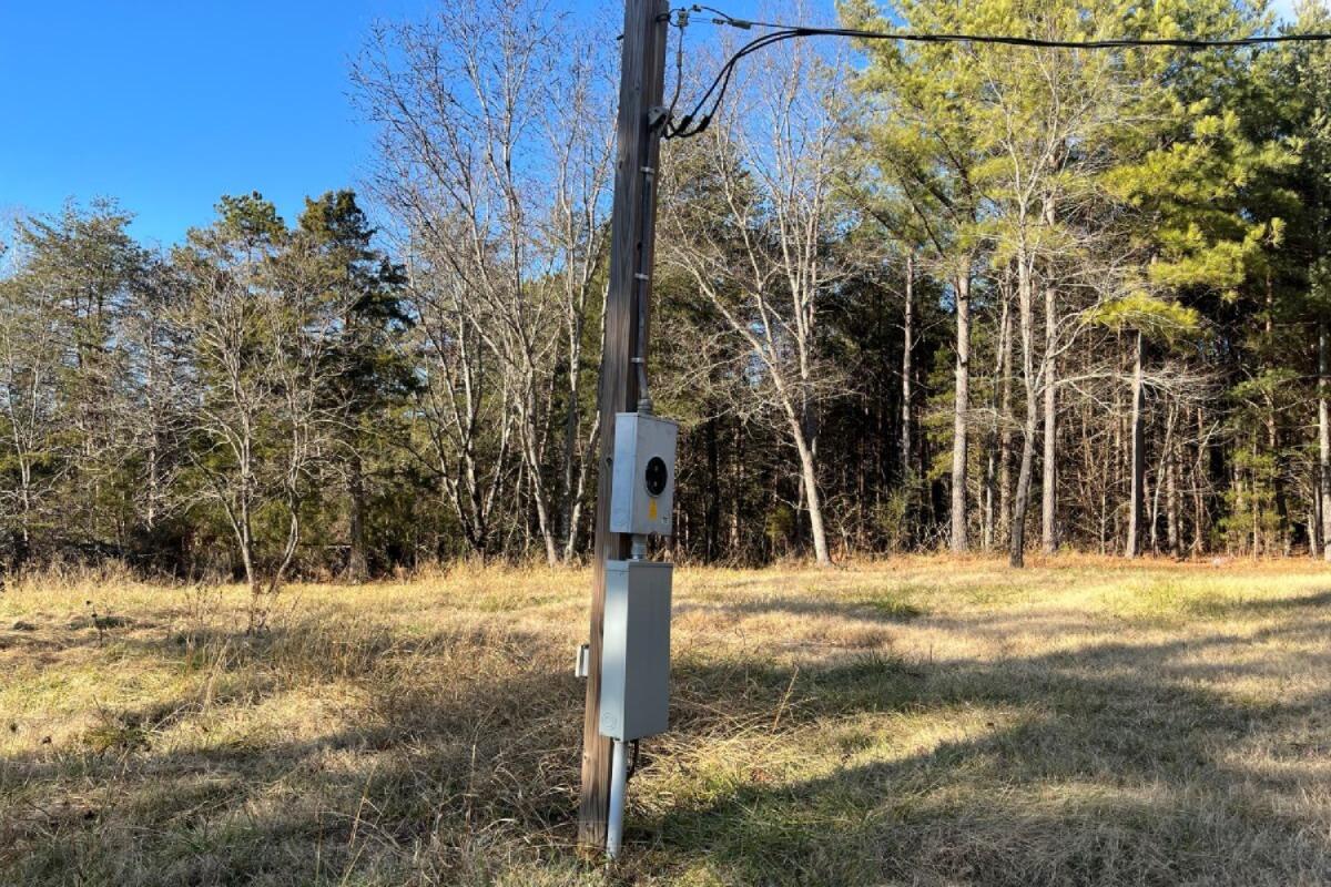 235 Tweedy Lane Appomattox, VA 24522 - Photo 13 of 20 a view of a yard with trees