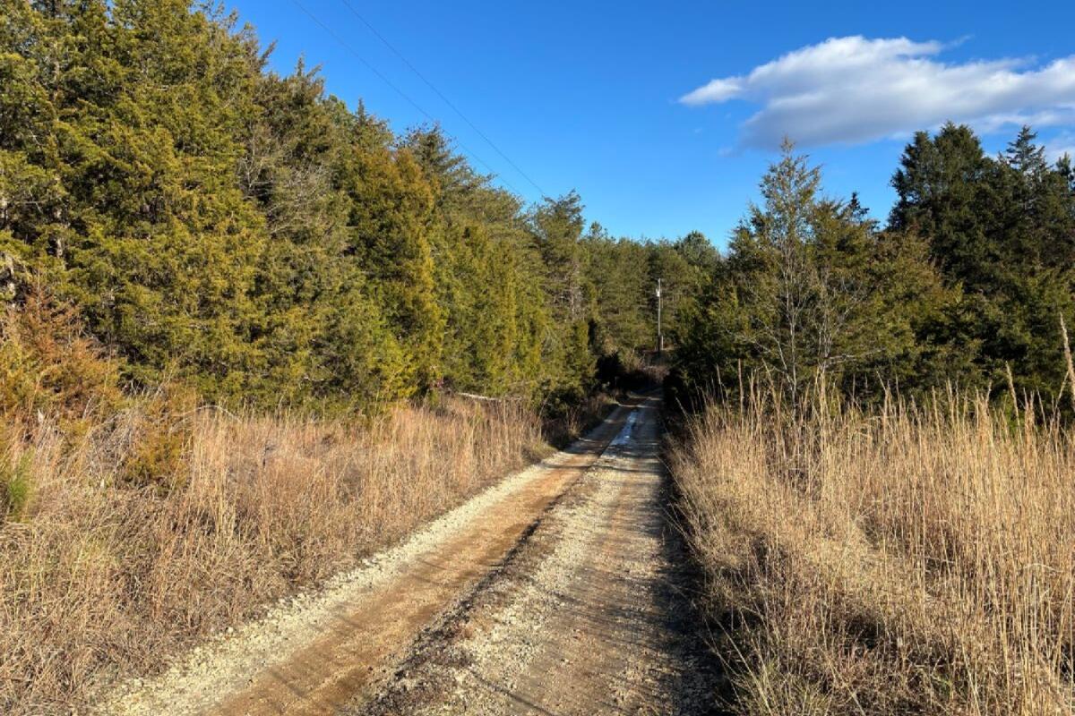 235 Tweedy Lane Appomattox, VA 24522 - Photo 16 of 20 a view of a lake from a yard
