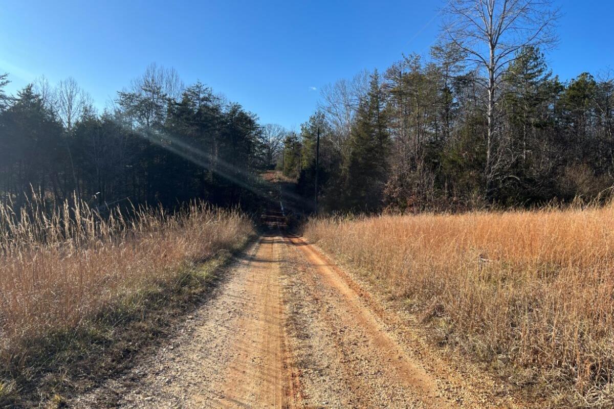 235 Tweedy Lane Appomattox, VA 24522 - Photo 17 of 20 a view of side of a yard
