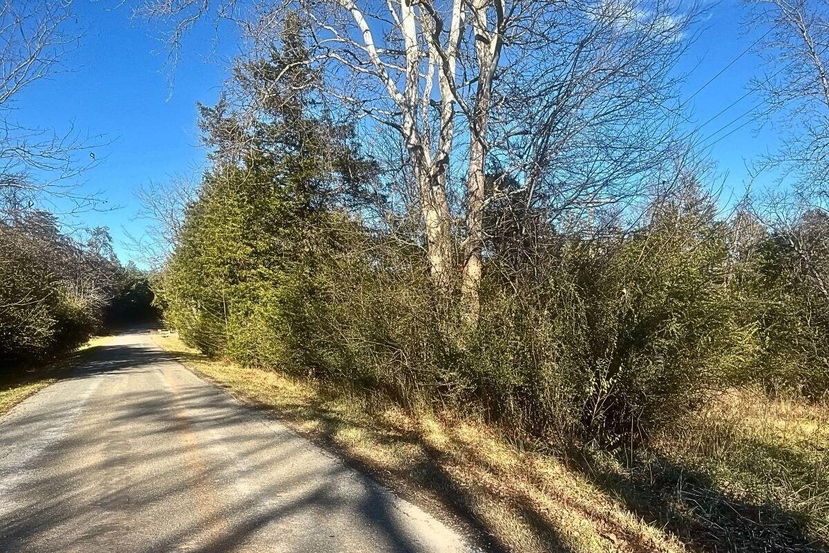 235 Tweedy Lane Appomattox, VA 24522 - Photo 18 of 20 a view of a yard with plants and trees