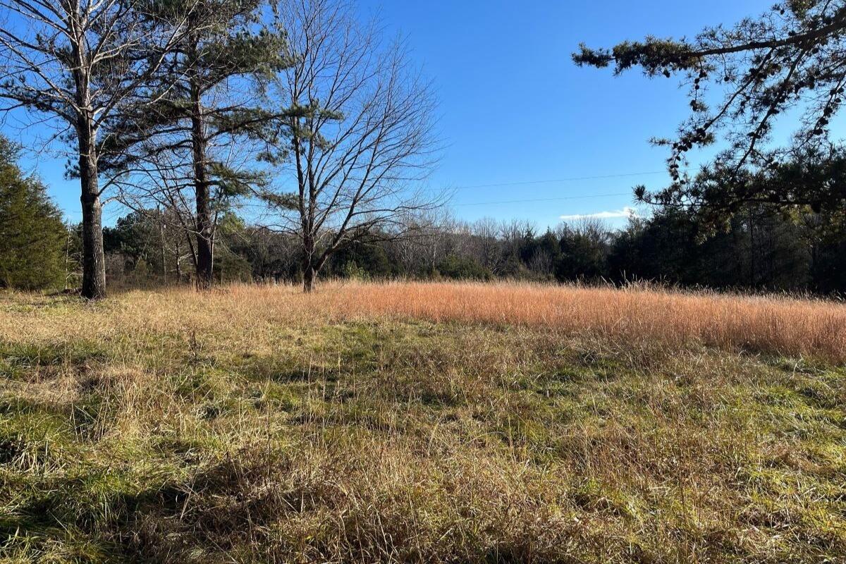 235 Tweedy Lane Appomattox, VA 24522 - Photo 2 of 20 a view of lake with green space
