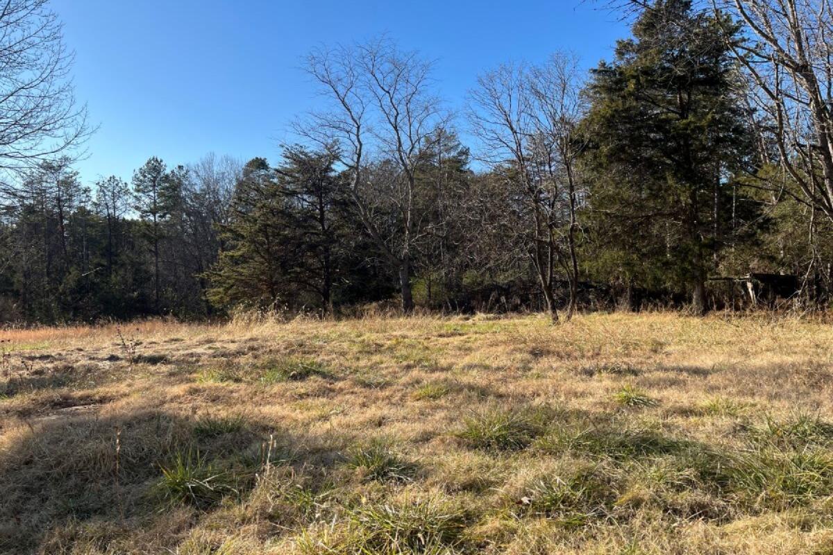 235 Tweedy Lane Appomattox, VA 24522 - Photo 3 of 20 a view of a lake view