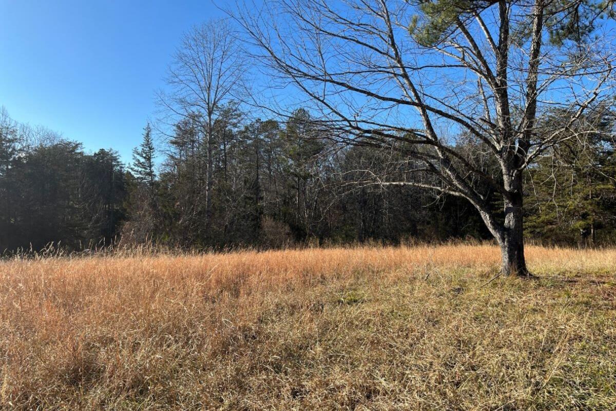 235 Tweedy Lane Appomattox, VA 24522 - Photo 4 of 20 a view of lake view and mountain view