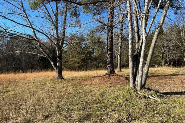 a view of backyard of the house