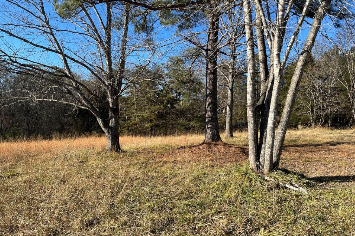 235 Tweedy Lane Appomattox, VA 24522 - Photo 5 of 20 a view of backyard of the house