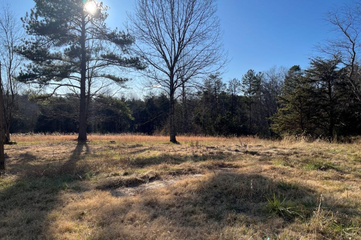 235 Tweedy Lane Appomattox, VA 24522 - Photo 6 of 20 a view of a yard covered with snow in front of house