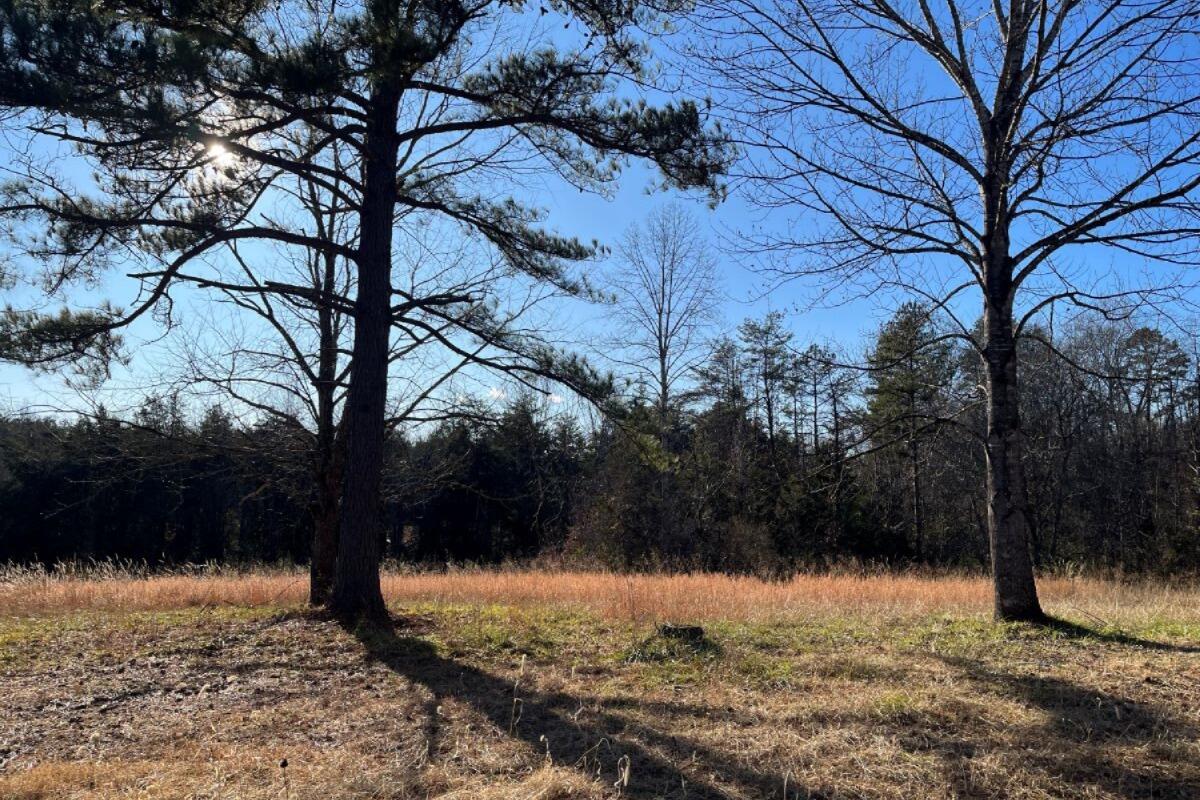 235 Tweedy Lane Appomattox, VA 24522 - Photo 7 of 20 a view of snow on a field