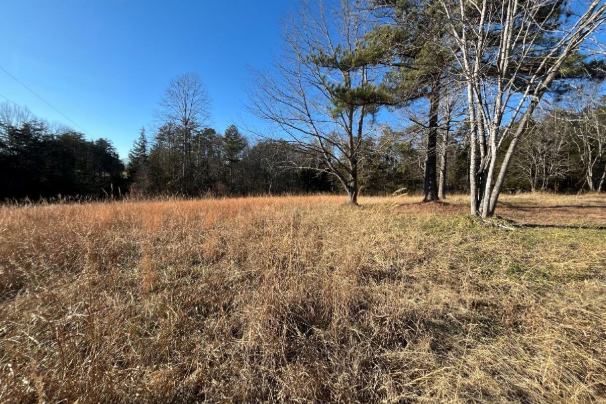 235 Tweedy Lane Appomattox, VA 24522 - Photo 8 of 20 a view of back yard