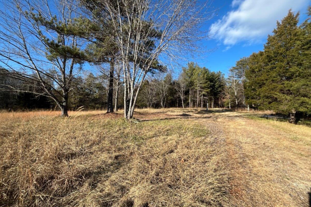 235 Tweedy Lane Appomattox, VA 24522 - Photo 9 of 20 a view of outdoor space with trees