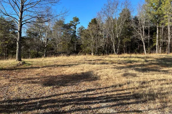 a view of a yard with trees