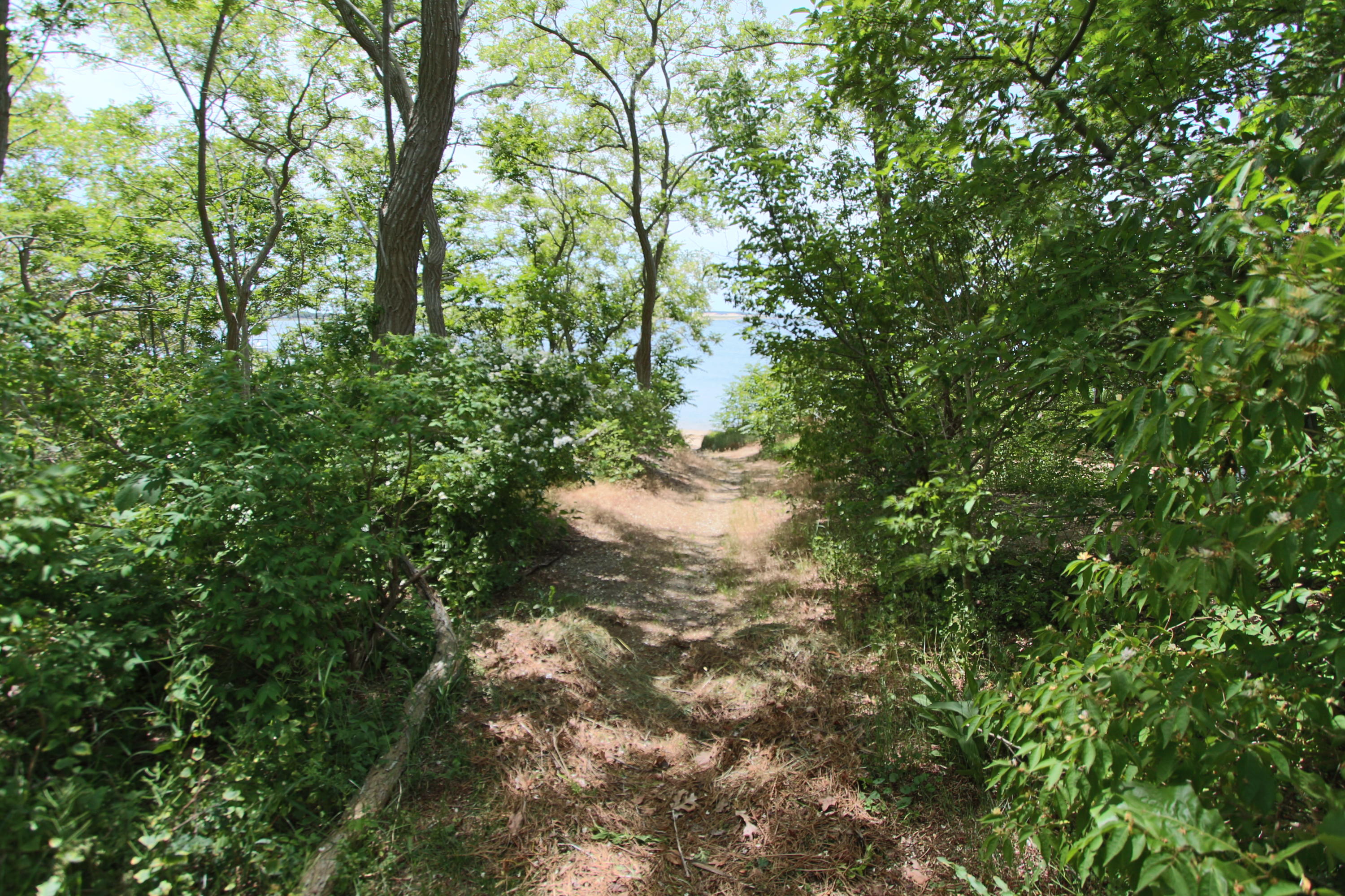 70 Nauhaught Bluff Road Wellfleet, MA 02667 - Photo 51 of 58 IMG_4045