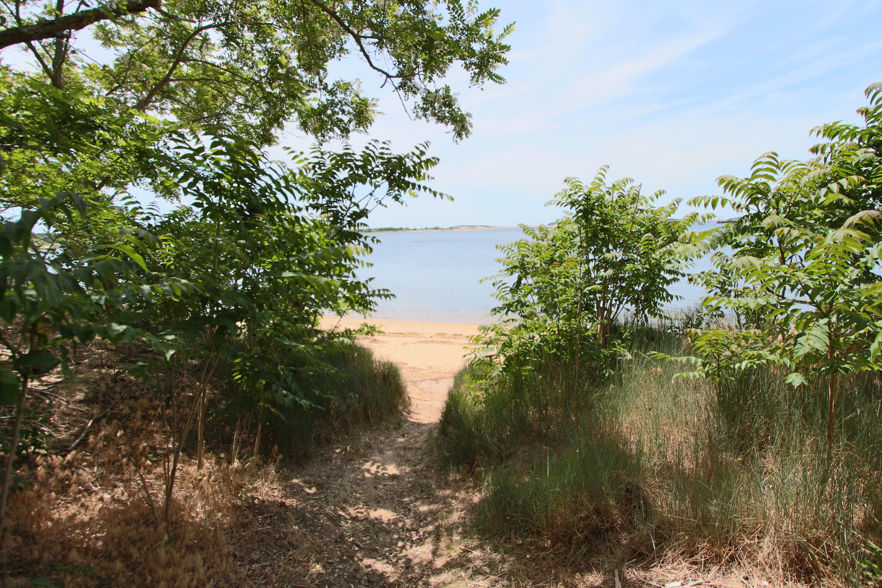 70 Nauhaught Bluff Road Wellfleet, MA 02667 - Photo 52 of 58 IMG_4046