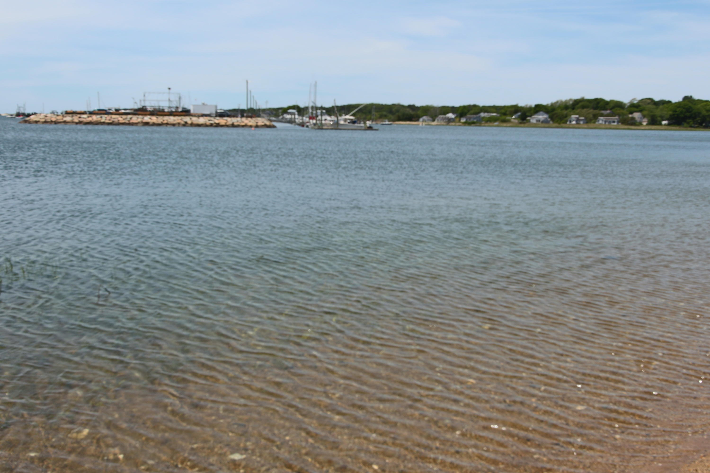 70 Nauhaught Bluff Road Wellfleet, MA 02667 - Photo 56 of 58 IMG_4052