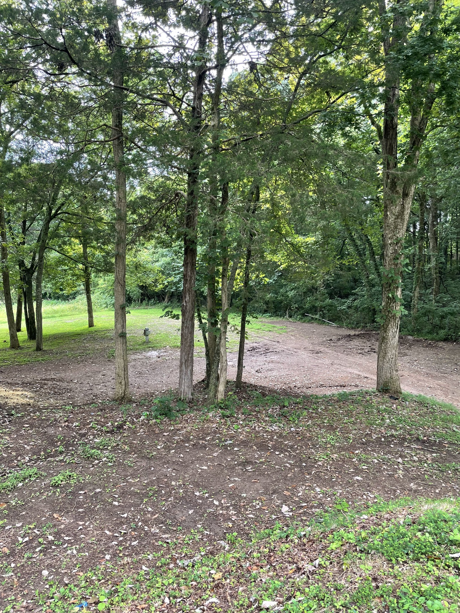 207 Chipman Road Bethpage, TN 37022 - Photo 11 of 31 Mature Shade Trees