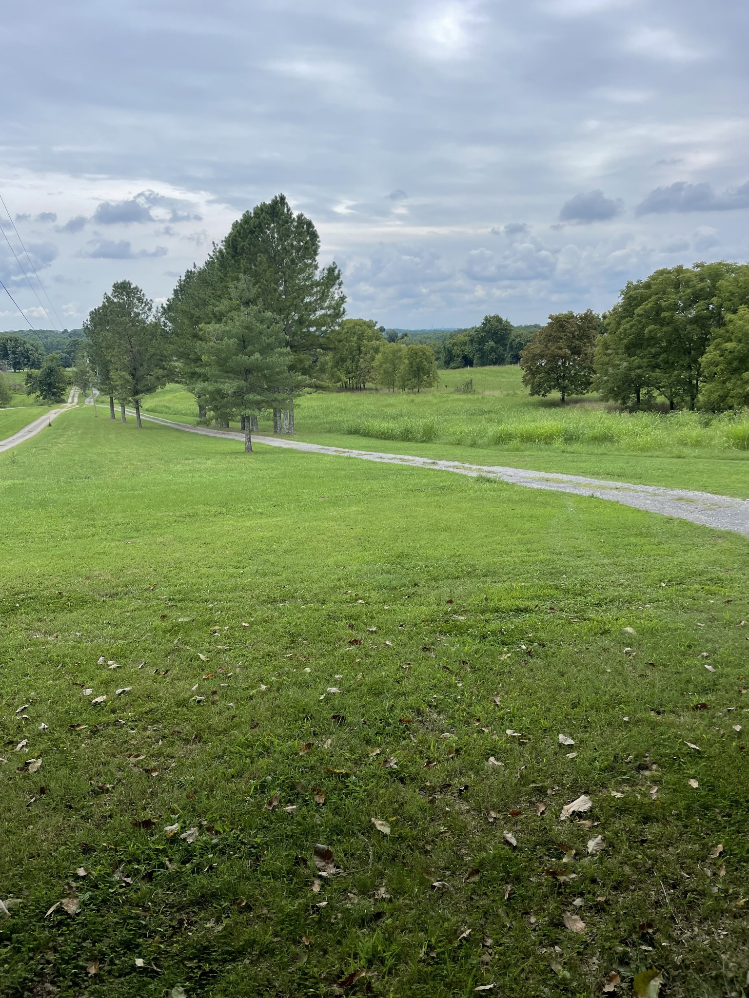 207 Chipman Road Bethpage, TN 37022 - Photo 12 of 31 View from the House back toward the road