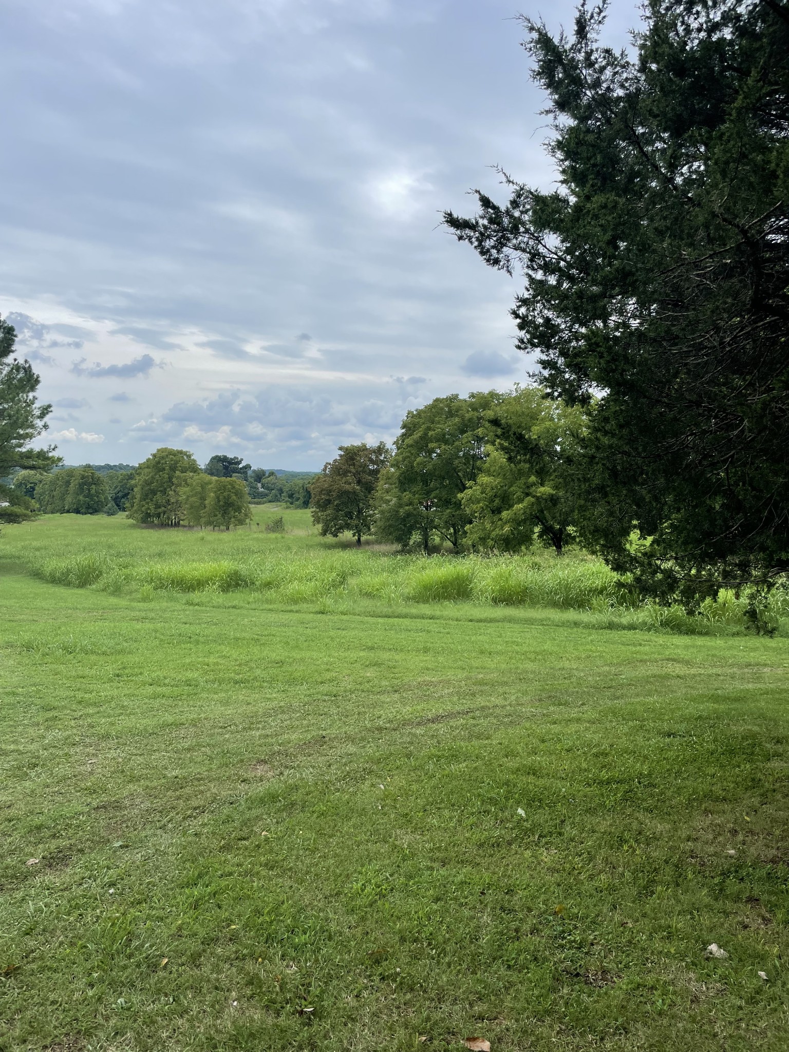 207 Chipman Road Bethpage, TN 37022 - Photo 13 of 31 Another View of Open Grass Land