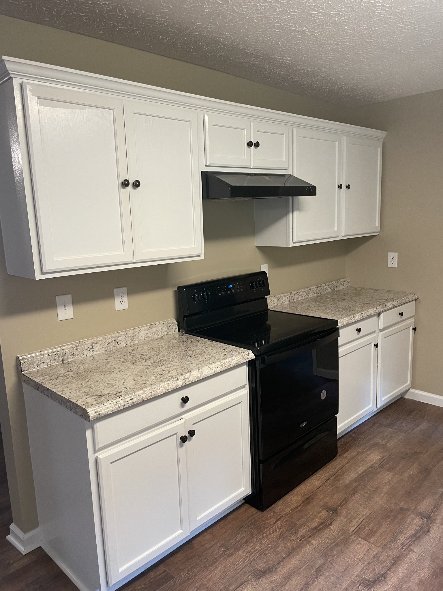 207 Chipman Road Bethpage, TN 37022 - Photo 20 of 31 Kitchen
