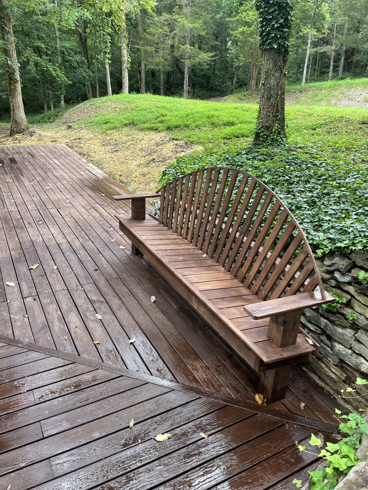 207 Chipman Road Bethpage, TN 37022 - Photo 10 of 31 Rear Deck w/Bench