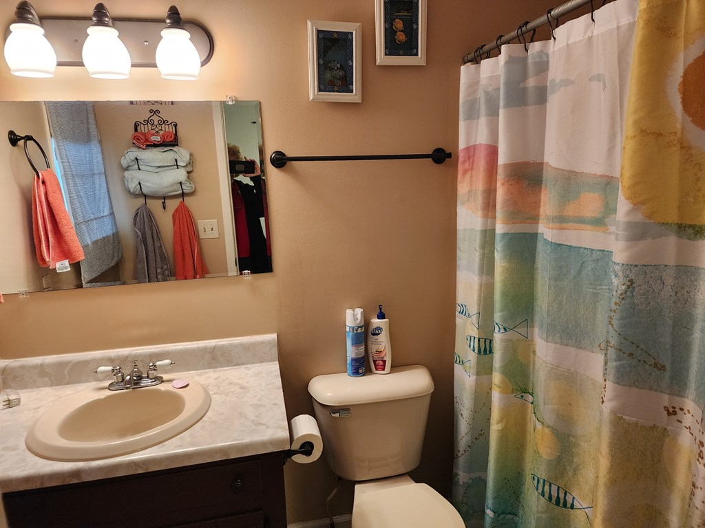 54 Fall Branch Lane Murphy, NC 28906 - Photo 19 of 24