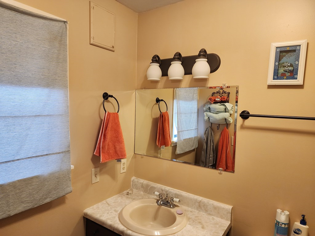 54 Fall Branch Lane Murphy, NC 28906 - Photo 20 of 24