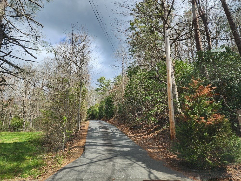 54 Fall Branch Lane Murphy, NC 28906 - Photo 8 of 24