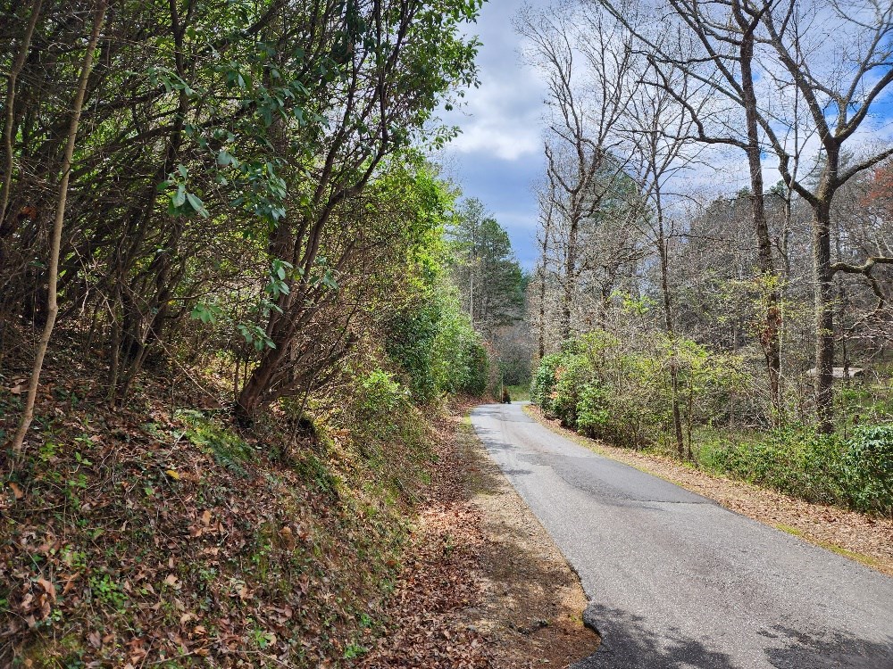 54 Fall Branch Lane Murphy, NC 28906 - Photo 9 of 24