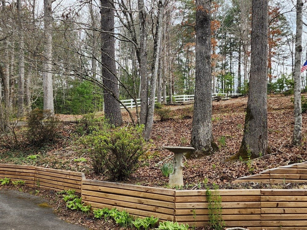 54 Fall Branch Lane Murphy, NC 28906 - Photo 10 of 24