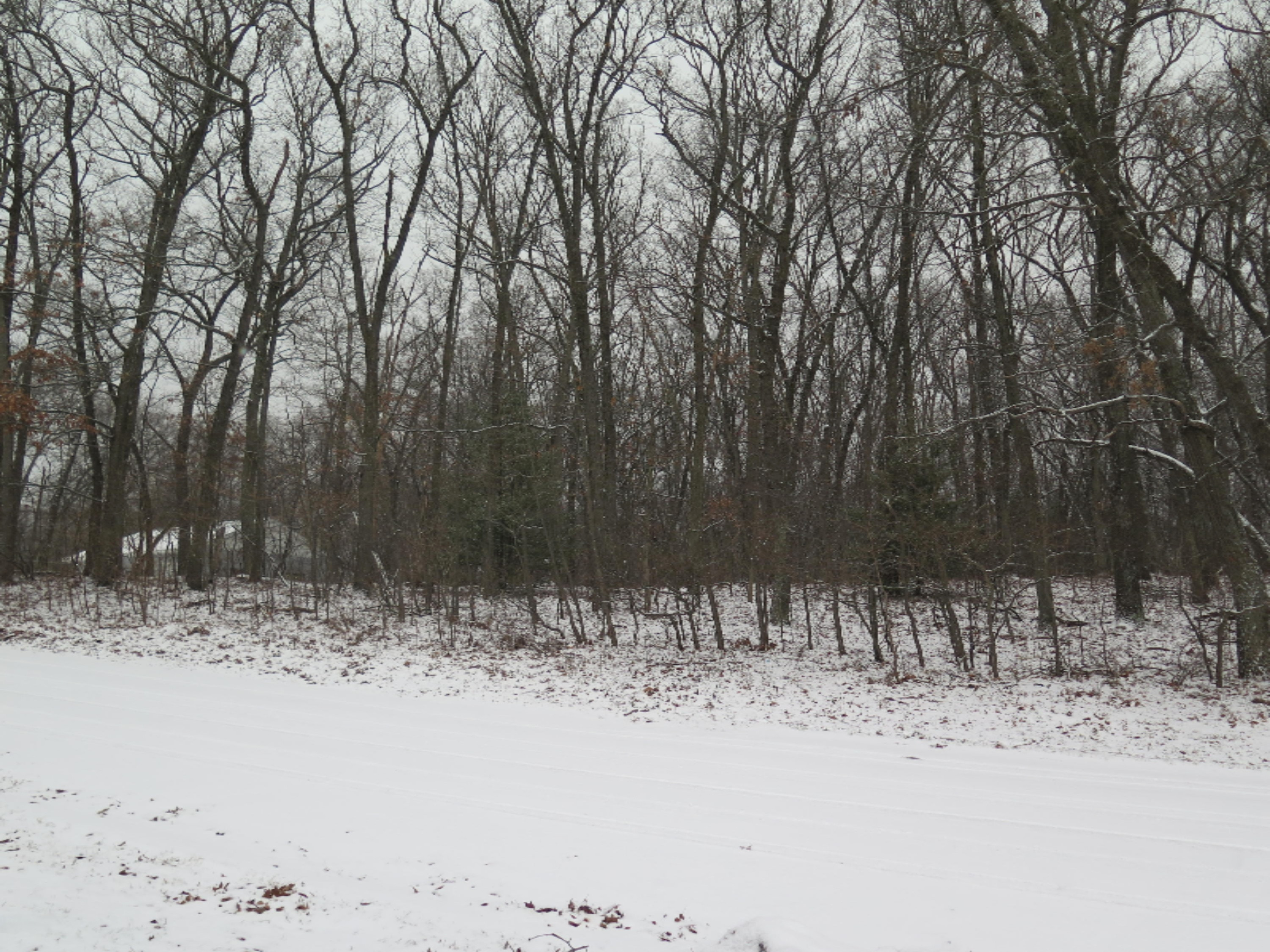 Vl Grover Road Muskegon, MI 49442 - Photo 2 of 2 IMG_2809