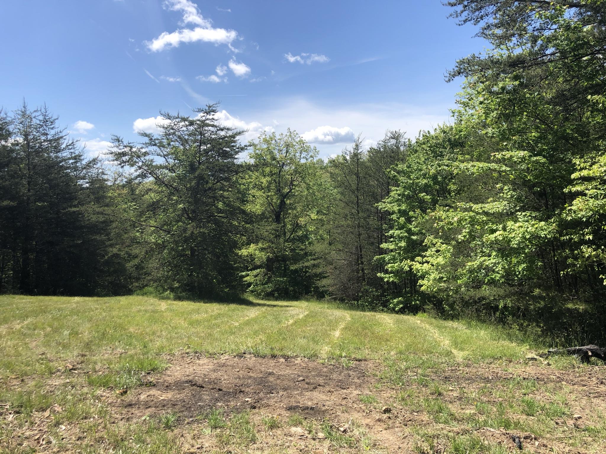 343 Mountain Place Road, Unit 4 Dunlap, TN 37327 - Photo 3 of 11 Mountain Place Road 7