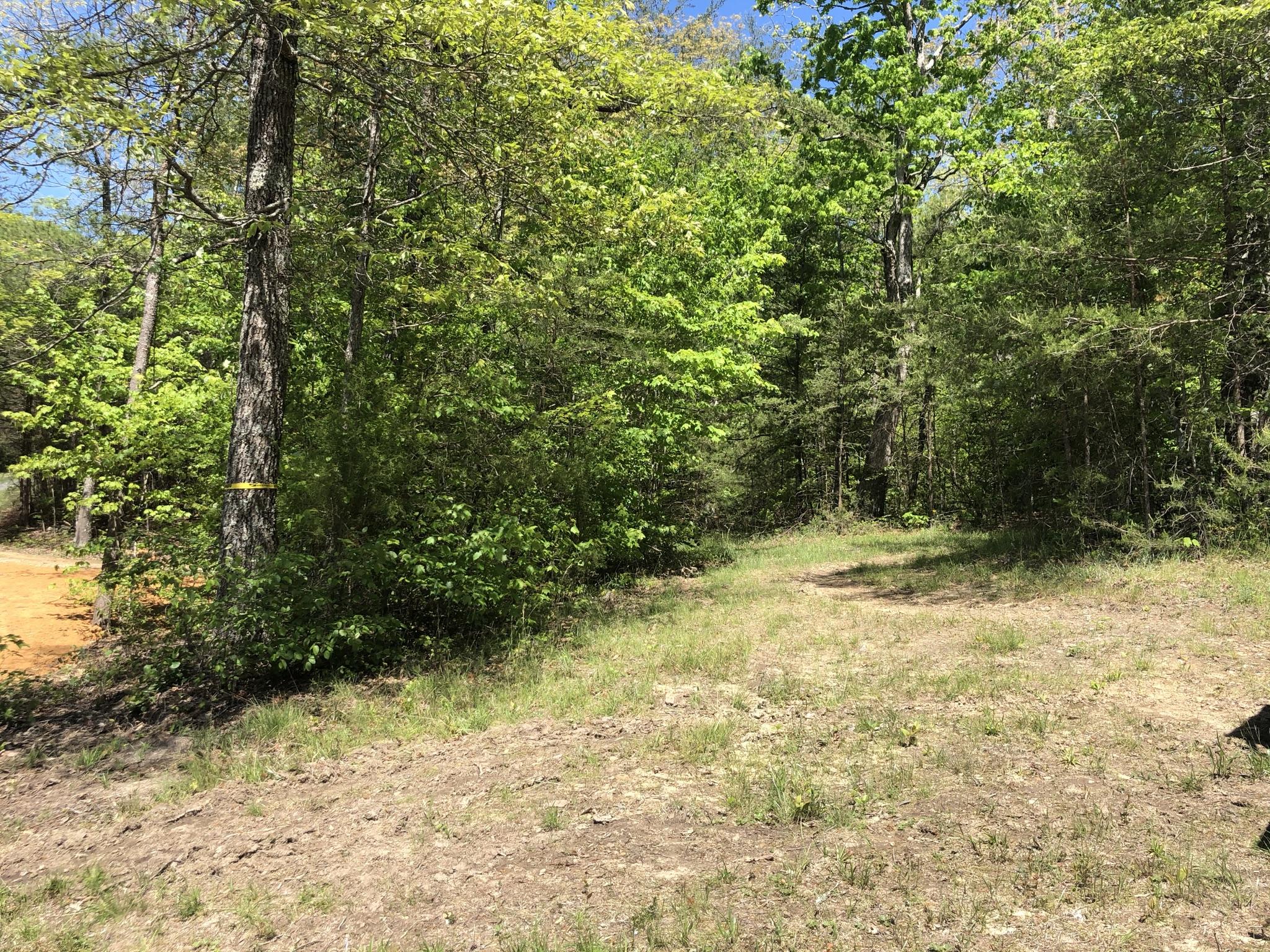 343 Mountain Place Road, Unit 4 Dunlap, TN 37327 - Photo 4 of 11 Mountain Place Road 2