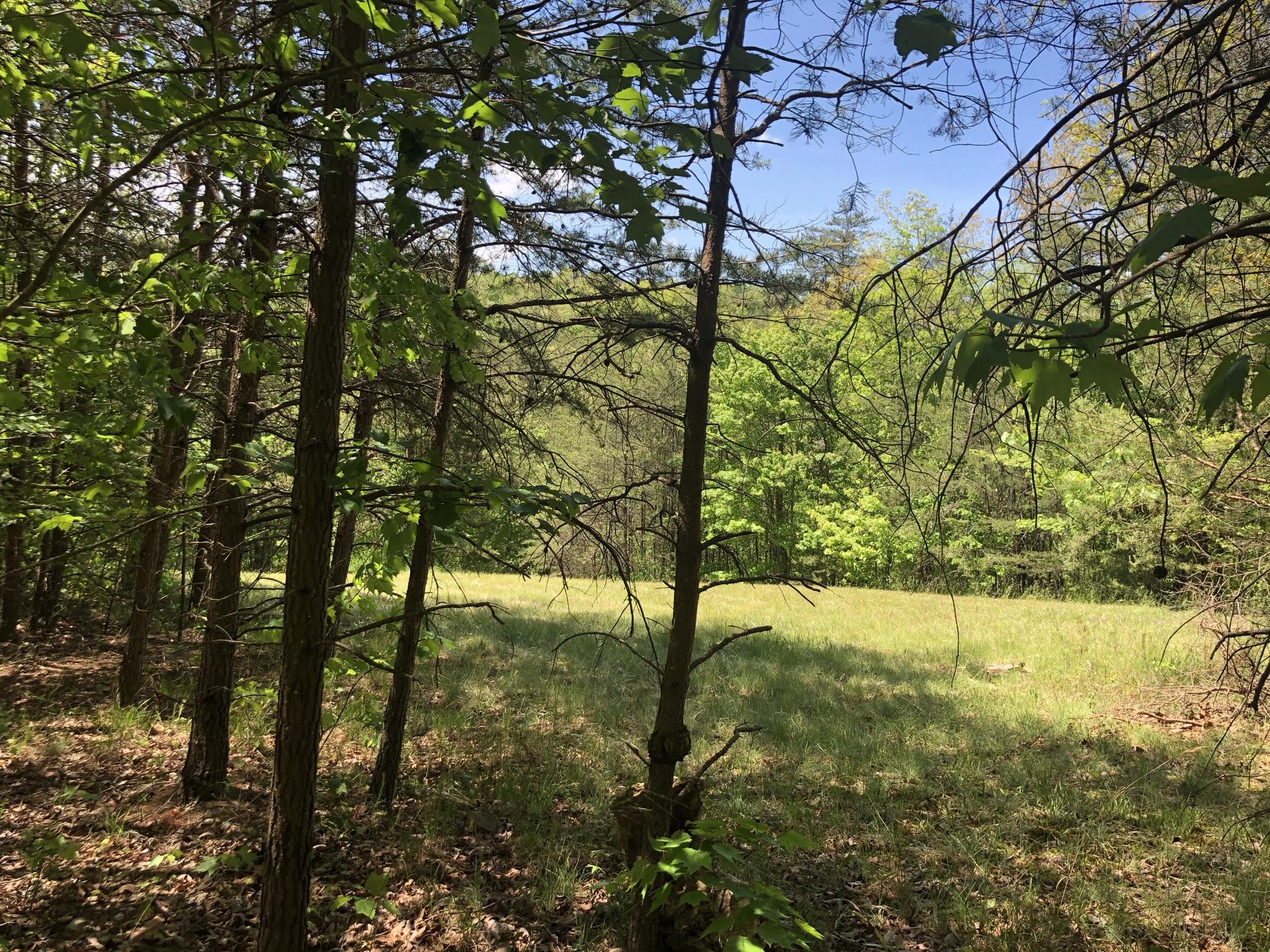 343 Mountain Place Road, Unit 4 Dunlap, TN 37327 - Photo 5 of 11 Mountain Place Road 6