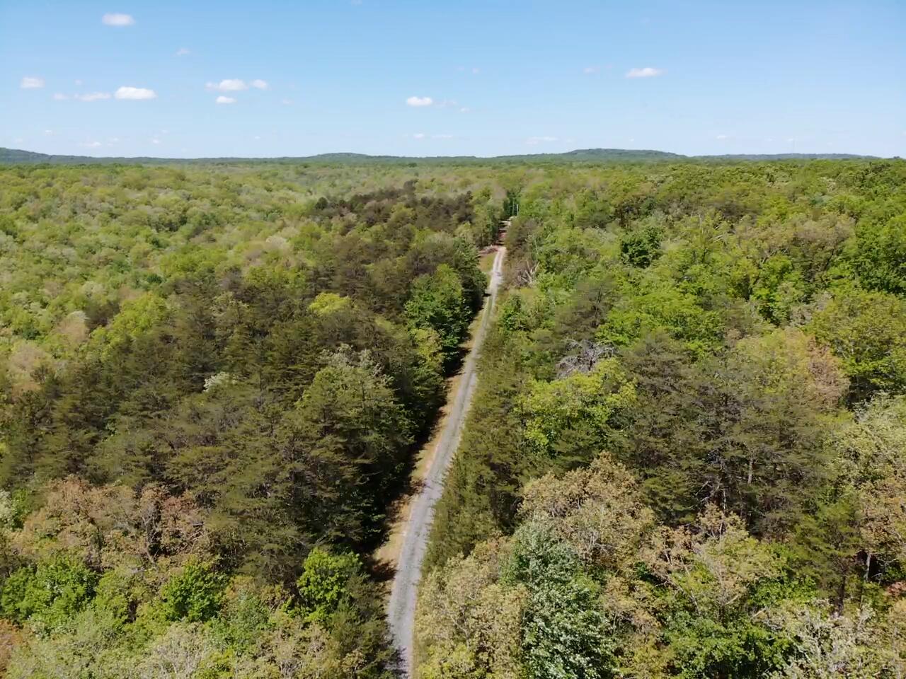 343 Mountain Place Road, Unit 4 Dunlap, TN 37327 - Photo 6 of 11 Mountain Place Road 10