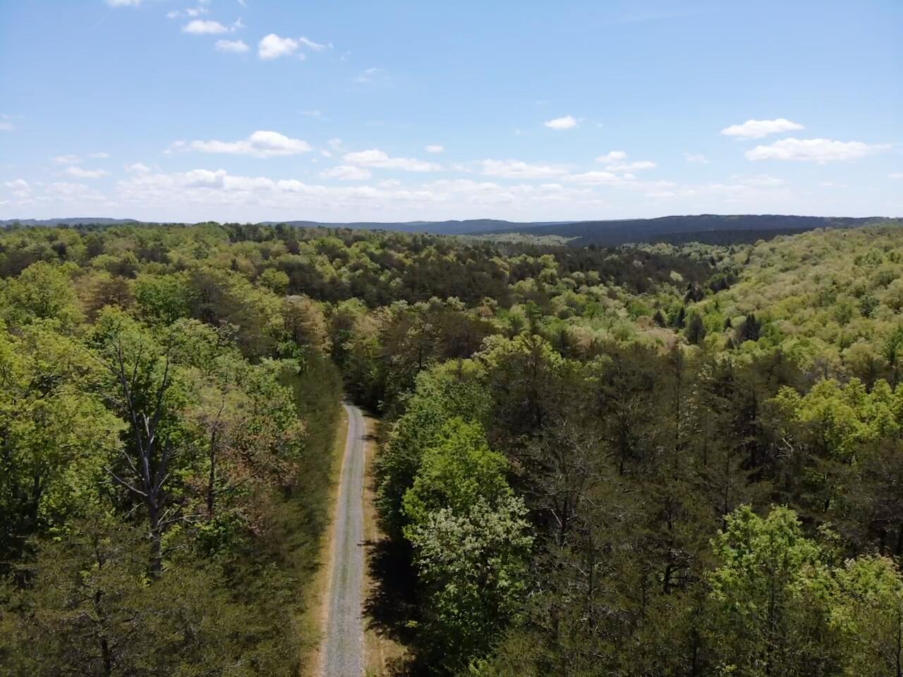 343 Mountain Place Road, Unit 4 Dunlap, TN 37327 - Photo 7 of 11 Mountain Place Road 13