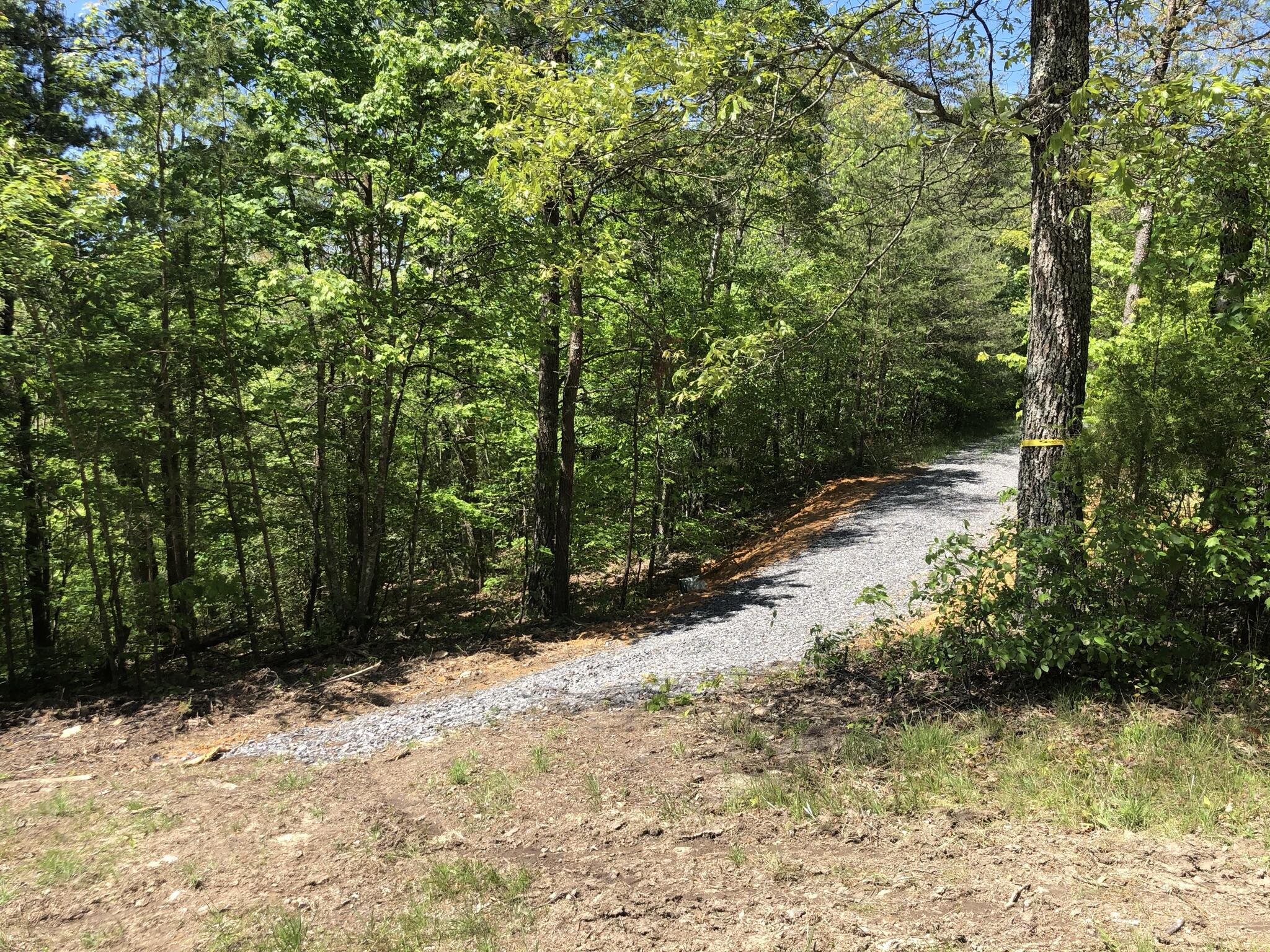 343 Mountain Place Road, Unit 4 Dunlap, TN 37327 - Photo 8 of 11 Mountain Place Road 8
