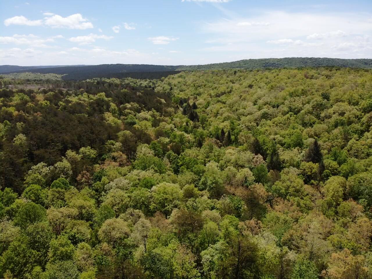 343 Mountain Place Road, Unit 4 Dunlap, TN 37327 - Photo 9 of 11 Mountain Place Road 9