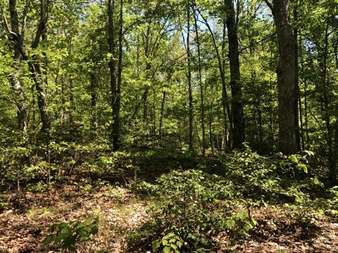 343 Mountain Place Road, Unit 4 Dunlap, TN 37327 - Photo 10 of 11 Mountain Place Road 4