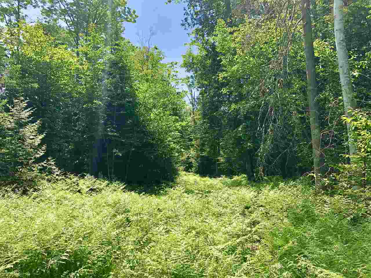 0 Sugarhouse Road West Burke, VT 05871 - Photo 9 of 15 Gallery Image 9