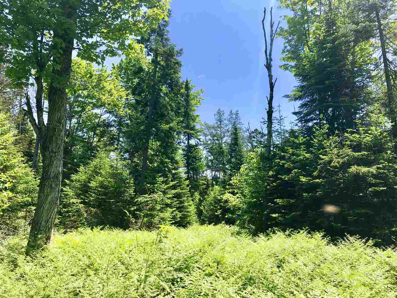 0 Sugarhouse Road West Burke, VT 05871 - Photo 10 of 15 Gallery Image 10