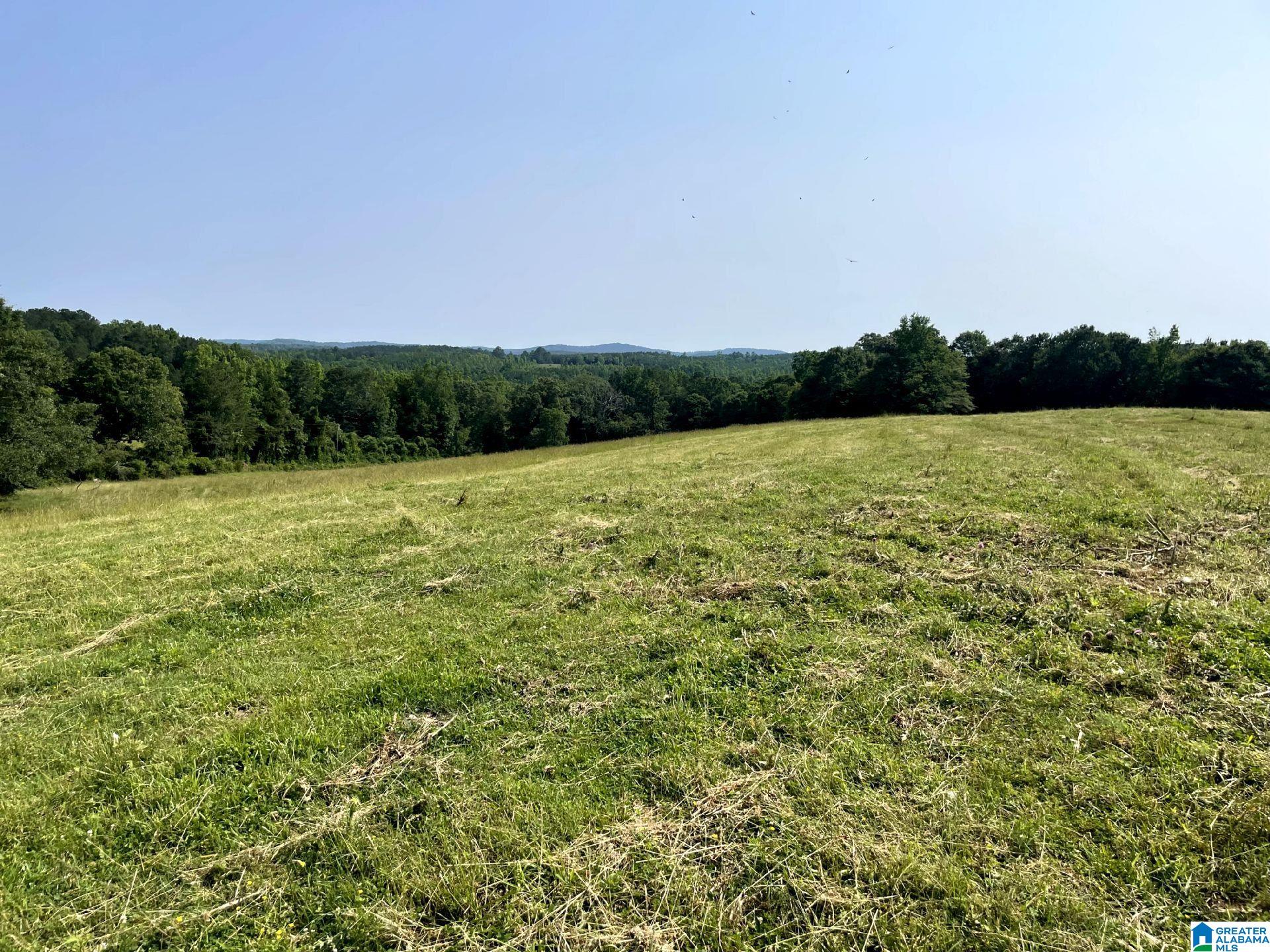 1500 Shiloh Church Road, Unit 81 95 ACRES Delta, AL 36258 - Photo 6 of 28