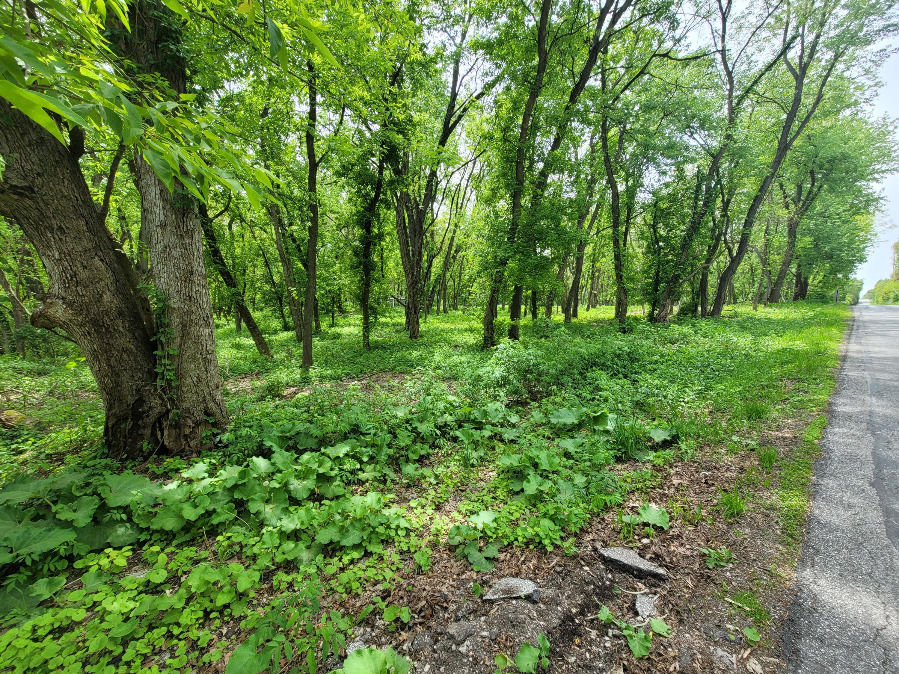 594 West Division Road Hebron, IN 46341 - Photo 3 of 3 a view of a lush green space