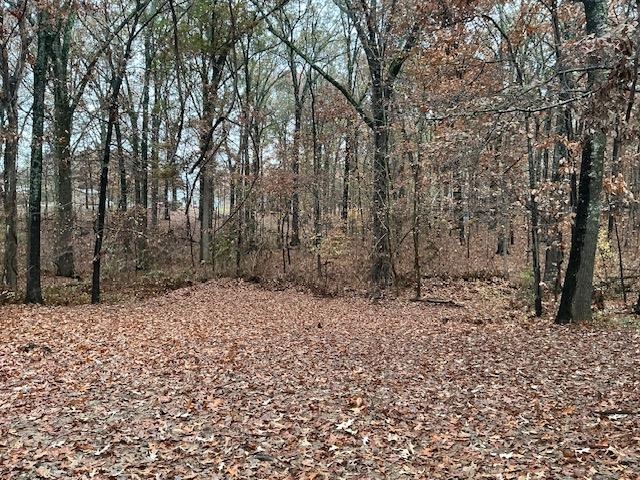 145 Walnut Bend Road Arlington, TN 38002 - Photo 8 of 9 a backyard of a house with lots of green space