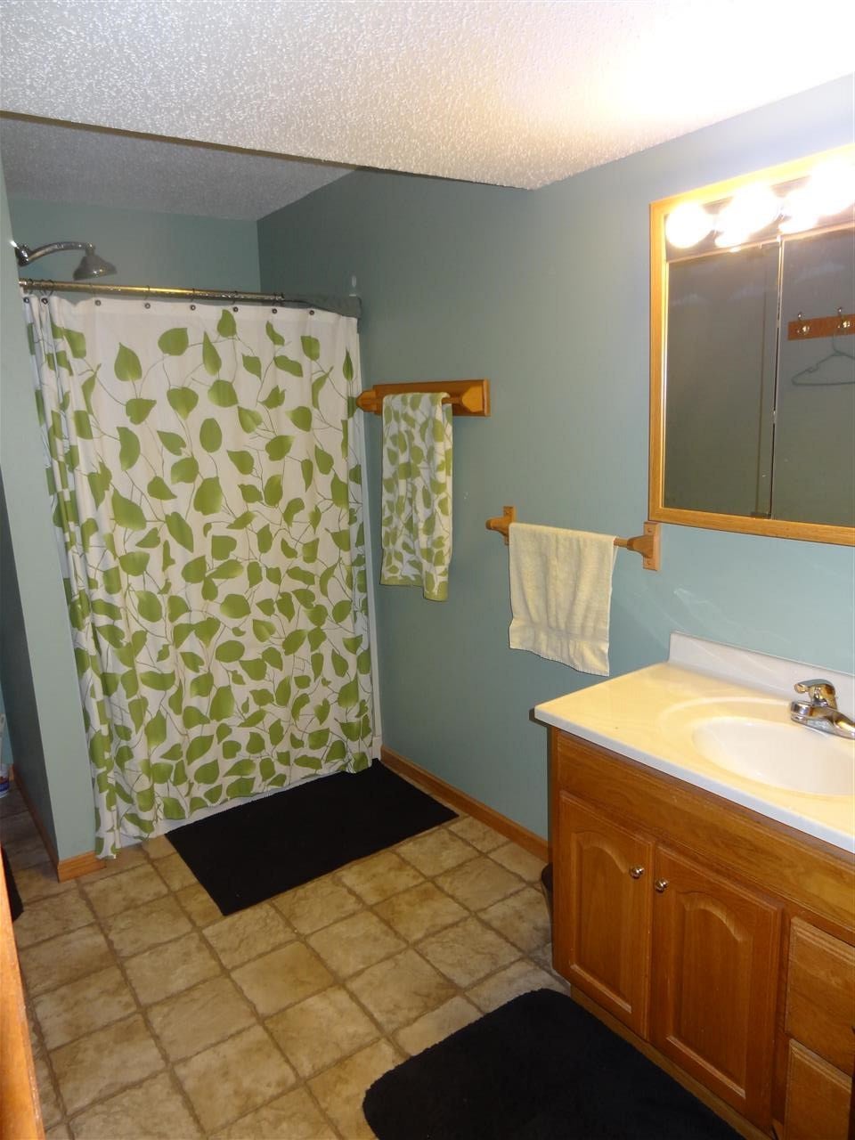 3419 Falcon View Road Southwest Cedar Rapids, IA 52404 - Photo 21 of 25 Gallery Image 21