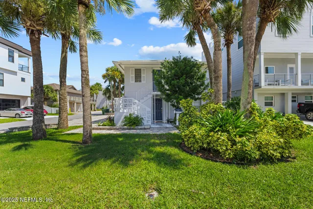 a view of a park with palm trees