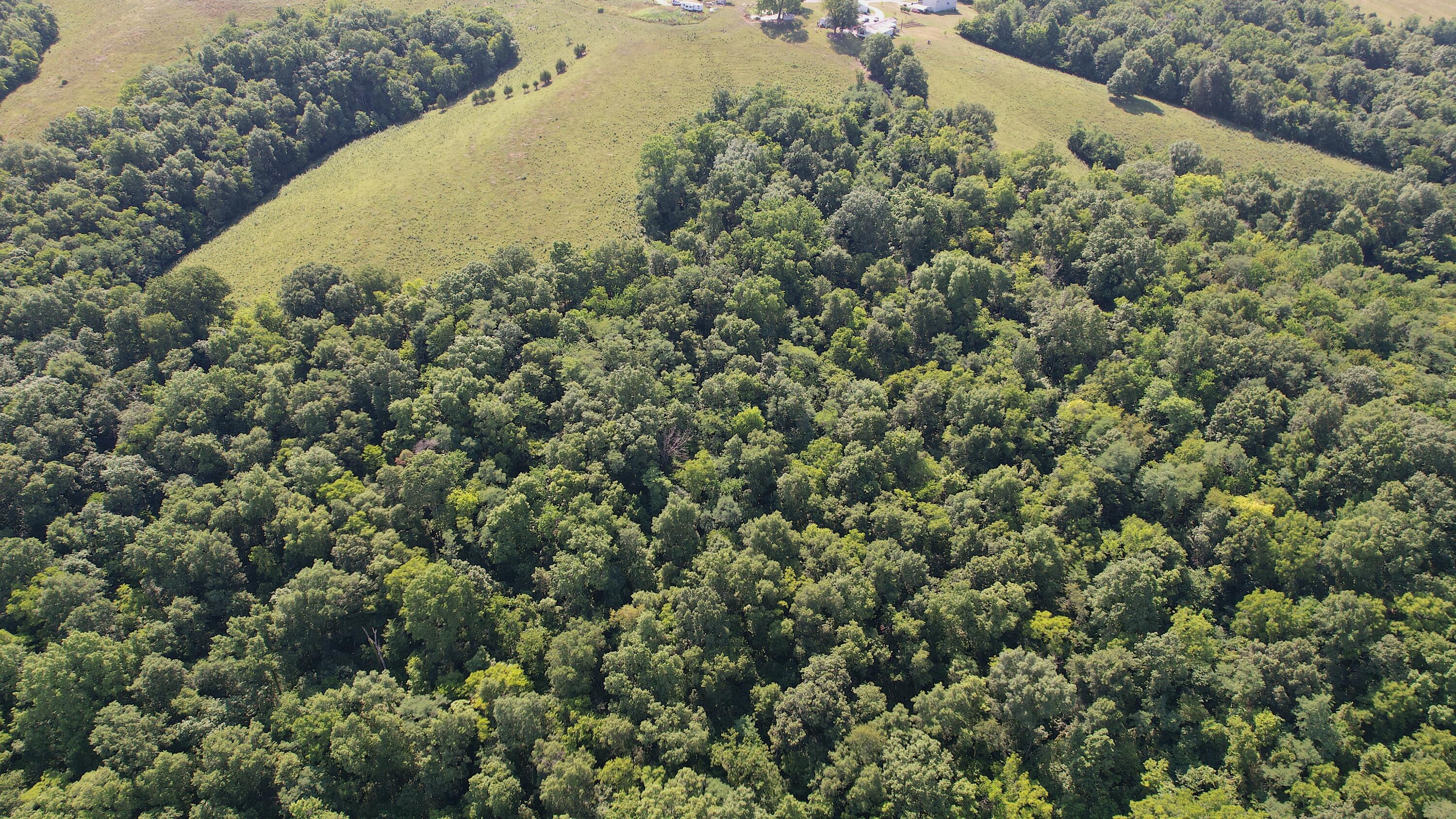 6150 Bridgeville Road Brooksville, KY 41004 - Photo 24 of 37 Gallery Image 24