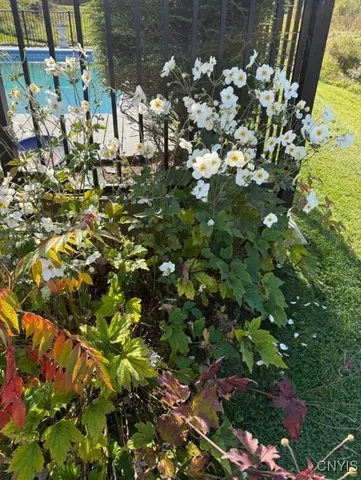 $599,900 | 8087 Cider Street, Whitestown, NY 13424