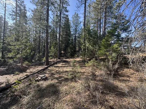 $18,000 | Cardinal Drive, Unit 4, Bonanza, OR 97623