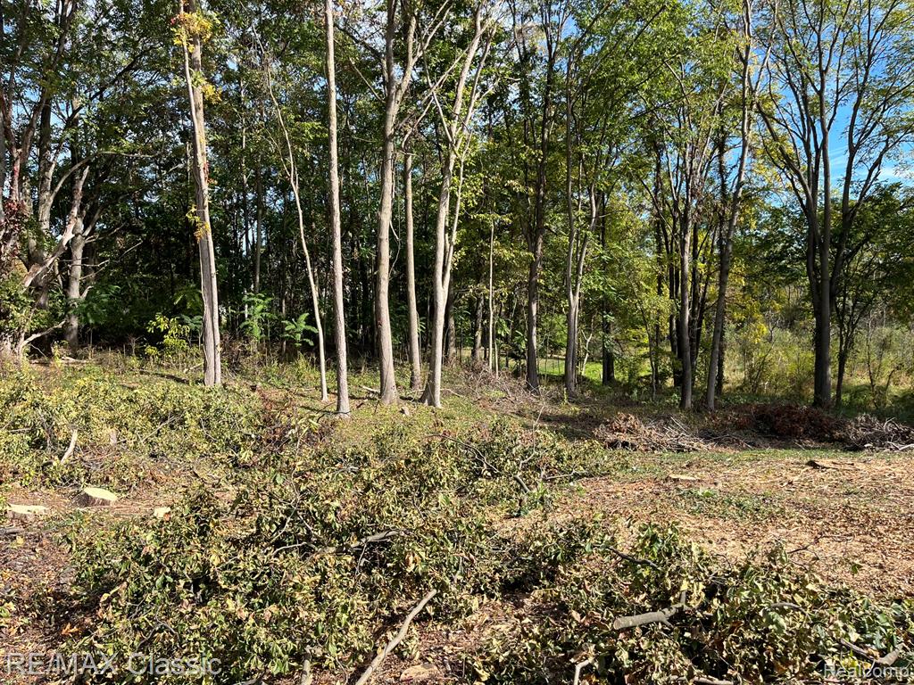 0 Old Mill Road Pinckney, MI 48169 - Photo 3 of 3